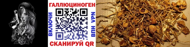 Псилоцибиновые грибы Psilocybine cubensis  ссылка на мегу ONION  это телеграм  Ижевск 